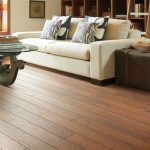 A Comprehensive Guide To Shaw Floors' Luxury Vinyl