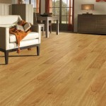 All You Need To Know About Ez Plank Laminate Flooring