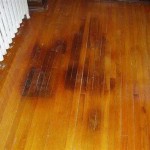 Black Spots On Hardwood Floors: Causes And Solutions