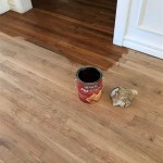 Can You Stain Vinyl Floors?