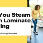 Can You Steam Clean Laminate Flooring?