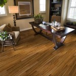Everything You Need To Know About Trafficmaster Vinyl Plank Flooring