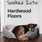 How To Get Dog Pee Smell Out Of Hardwood Floors