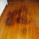 How To Get Rid Of The Urine Smell From Laminate Flooring
